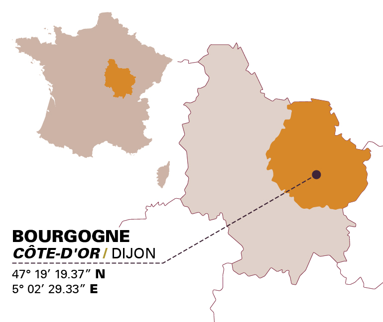 Infografiche_BOUDIER_231220211221130158