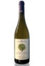 sorbo-bianco-sito-web